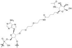 Figure imgf000121_0001