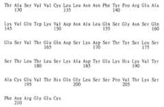 Figure 104128985-A0202-12-0229-266