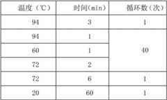 Figure BDA00002794314600111