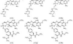 Figure imgf000055_0002