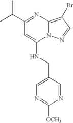 Figure US07119200-20061010-C01495
