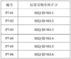 Figure BDA0003519389310000081