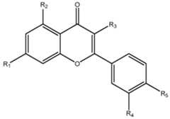 Figure imgf000004_0001