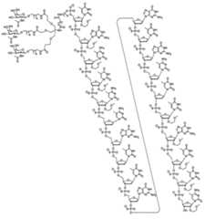 Figure 0007429103000012