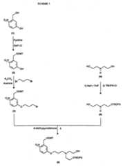 Figure imgf000034_0001