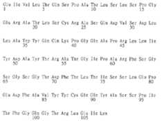 Figure 107118828-A0305-02-0193-254