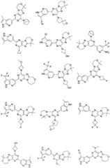 Figure FDA0002486010530000221