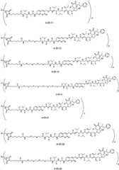 Figure BDA0003376679440000171