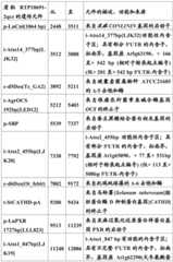 Figure BDA0001349734580001461