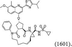 Figure BDA00001685001200682