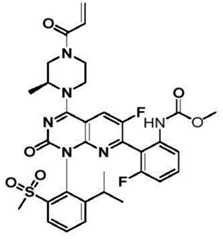 Figure BDA0002861043520000953