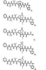 Figure BSA00000606821200801