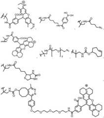 Figure BDA0003670511740000901
