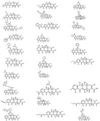 Figure imgf000091_0002