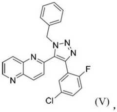 Figure BDA0003109483470000051