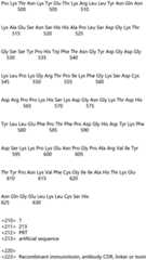 Figure IDA0004177795620000231