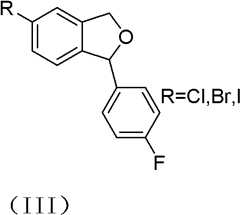 Figure BDA0000051673980000021