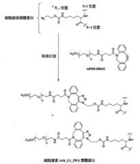 Figure 109130857-A0202-12-0259-318