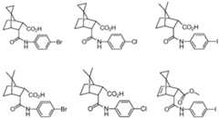 Figure imgf000081_0001