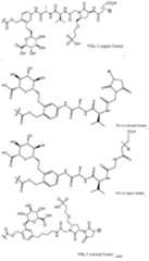 Figure imgf000497_0001