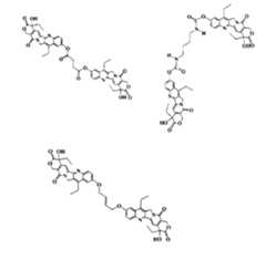 Figure JPOXMLDOC01-appb-C000023