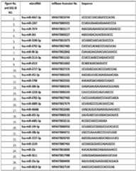 Figure imgf000037_0001