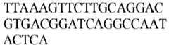 Figure imgb0475