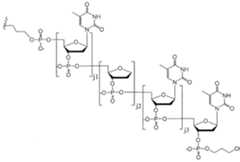 Figure imgf000195_0001