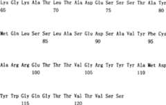 Figure C200480014513D01061