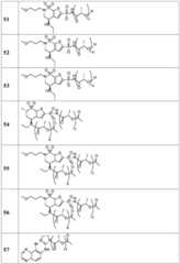 Figure BDA0002268634580002571