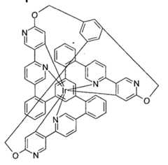 Figure imgf000295_0001