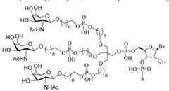 Figure imgf000386_0001