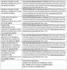 Figure imgf000326_0001