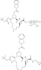 Figure US07829665-20101109-C00369