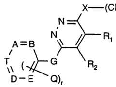 Figure imgf000008_0001