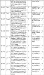 Figure BDA0002572923940000871