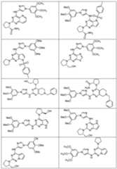 Figure imgf000040_0001