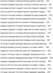 Figure IDA0002935257620000451