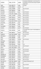 Figure BDA0002159872460000131