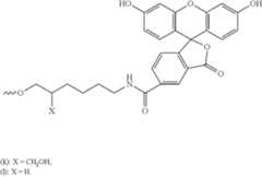 Figure US08202850-20120619-C00101