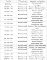 Figure PCTCN2022090268-appb-000181