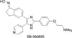 Figure JPOXMLDOC01-appb-C000024