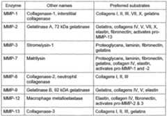 Figure imgf000004_0001