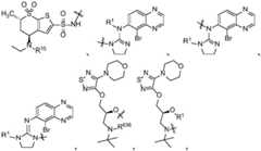 Figure BDA0002268634580002334