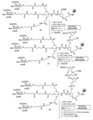 Figure 2023012548000630