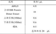 Figure BDA00002624640300081