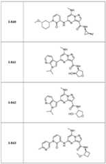 Figure imgf000256_0001