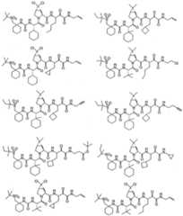 Figure imgf000316_0001