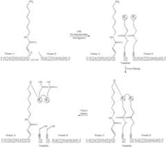 Figure US07727713-20100601-C00170