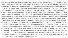 Figure imgf000075_0001